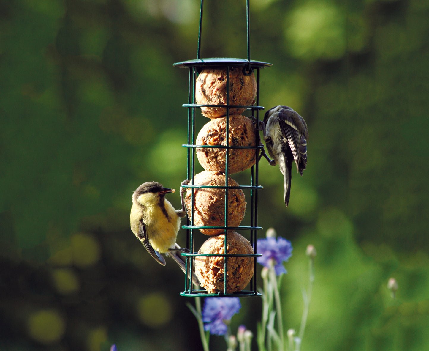 Vogel-Futtersäule aus grün pulverbeschichtetem Stahl, ideal für den Garten