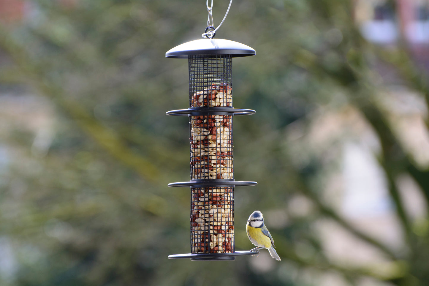 Wetterfeste Vogel-Futterstation mit Anflugringen und Edelstahlseil zum Aufhängen