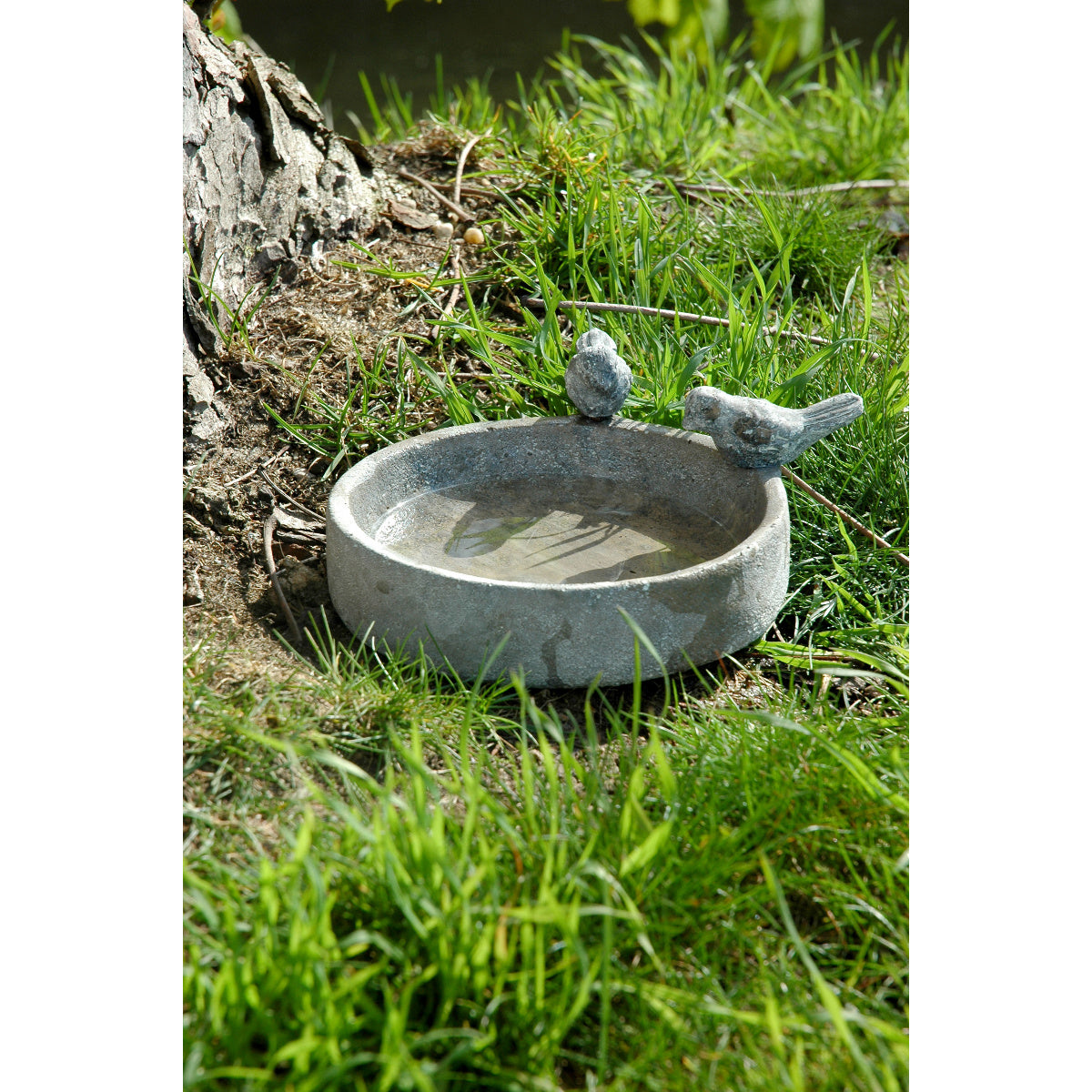 Dekorative Vogeltränke aus Zement – Kompakte Wasserstelle für Wildvögel, ideal für den Garten.