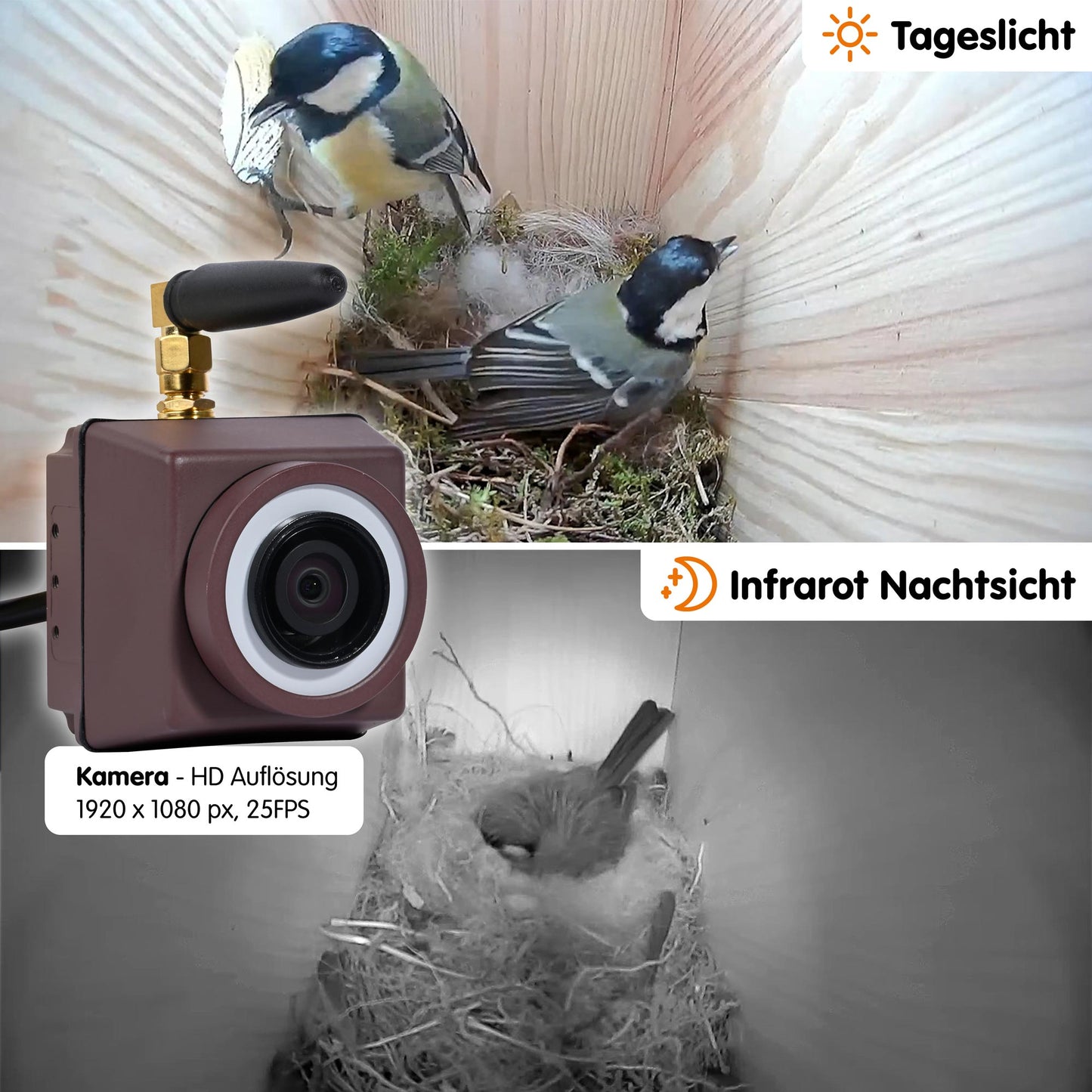 Detailansicht der robusten Nistkasten-Kamera mit HD WiFi und Infrarot-Nachtsicht.