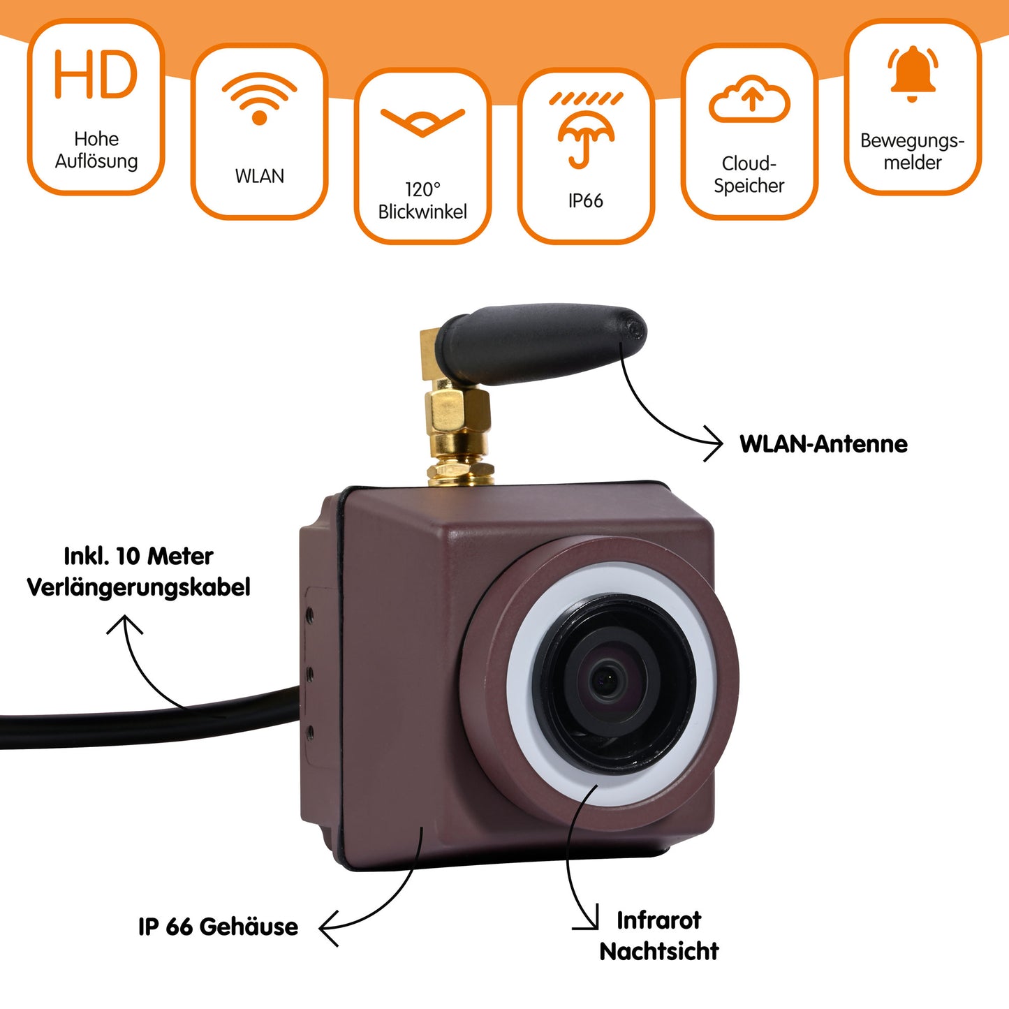 Moderne Vogelbeobachtung mit HD-Kamera und Cloudspeicher