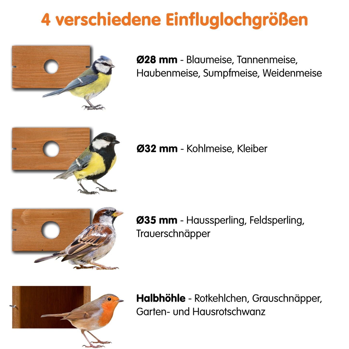 Robuster Nistkasten mit flexiblen Einfluglochgrößen und Möglichkeit zur Kamera-Integration.