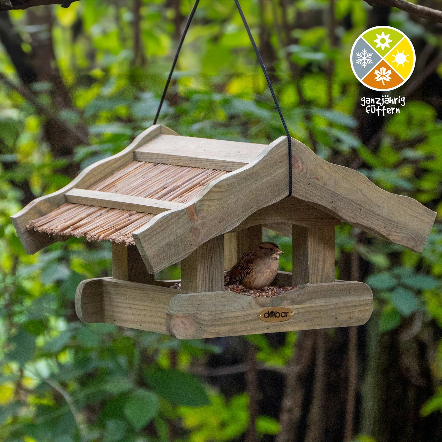 Natürliches Vogelhaus mit rustikalem Schilfdach, FSC-zertifiziertes Holz, funktionale Kordel-Aufhängung für einfache Platzierung im Garten