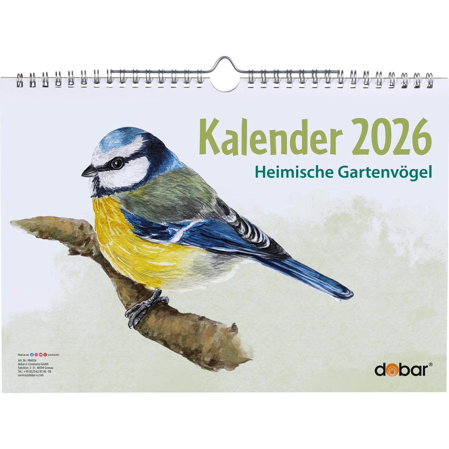 Vogel-Wandkalender 2026 DIN A4 – Jahreskalender mit Wildvogel-Illustrationen