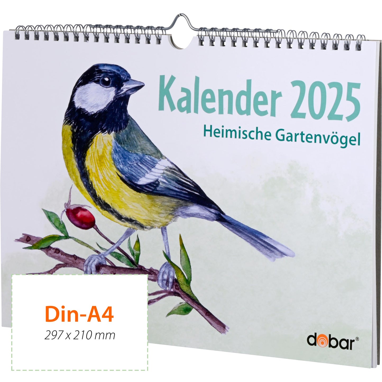 Detailreiche Wildvogel-Illustration auf dem Wandkalender 2025 mit Feiertagen