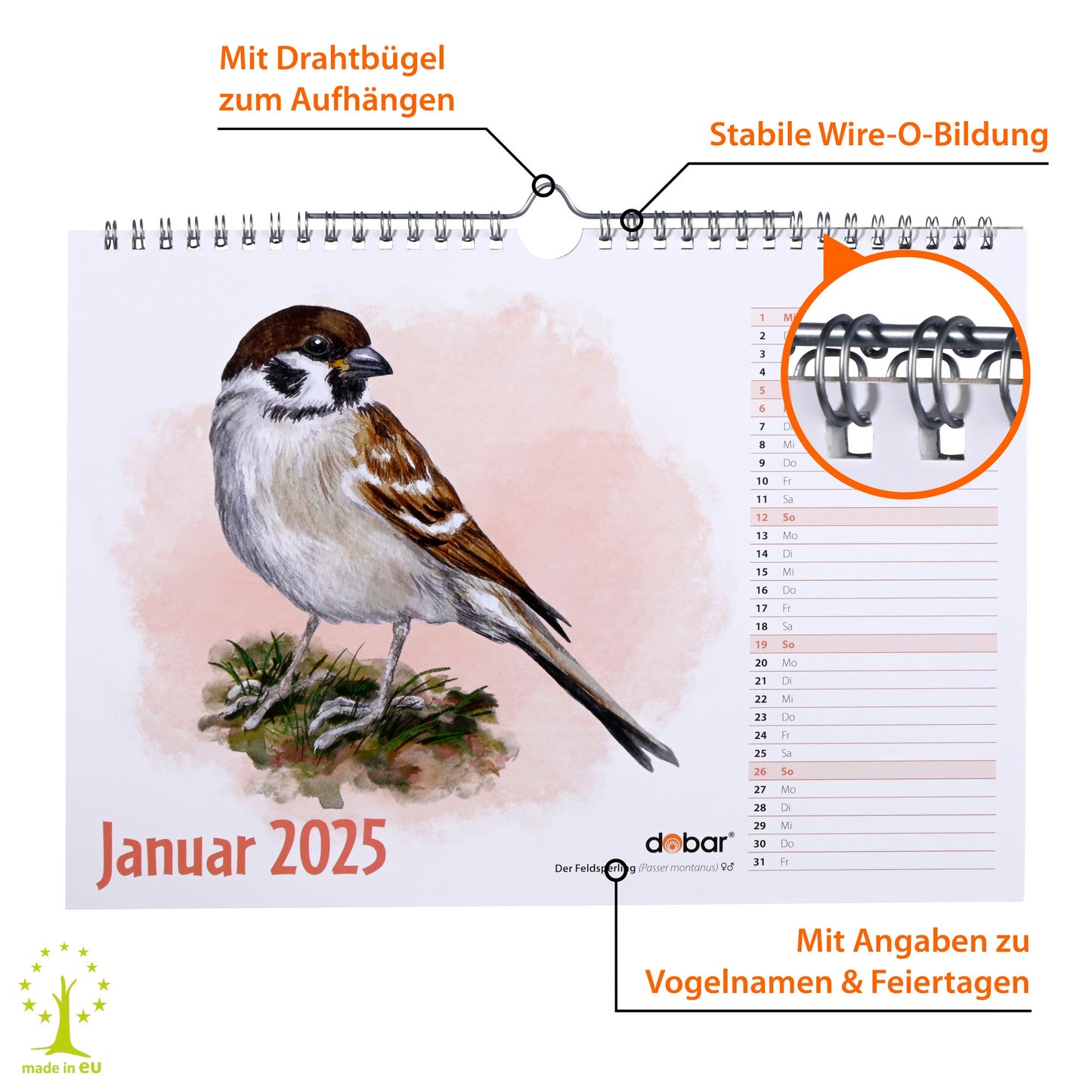 Hochwertiger Vogel-Wandkalender 2025 mit stabiler Drahtbindung zum Aufhängen