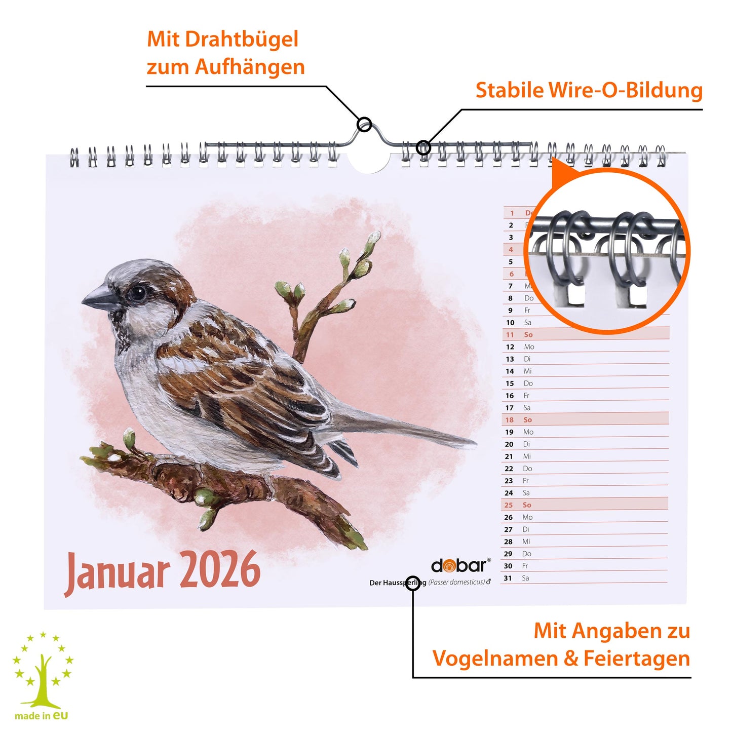 Vogel-Wandkalender 2026 DIN A4 – Jahreskalender mit Wildvogel-Illustrationen
