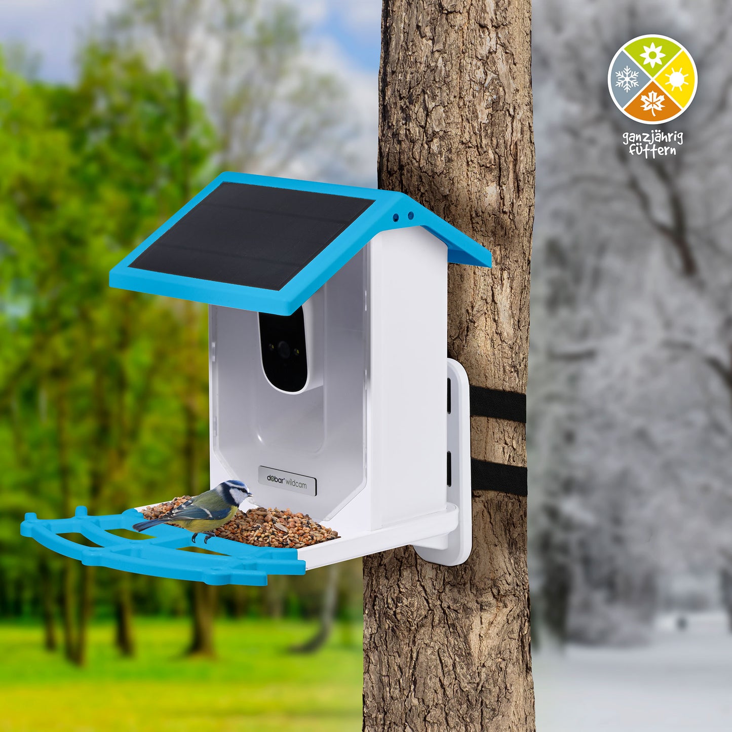 LUXUS-VOGELHAUS® Vogelfutterhaus EAZY mit Solarpanel und WiFi-Kamera, aus robustem Kunststoff.