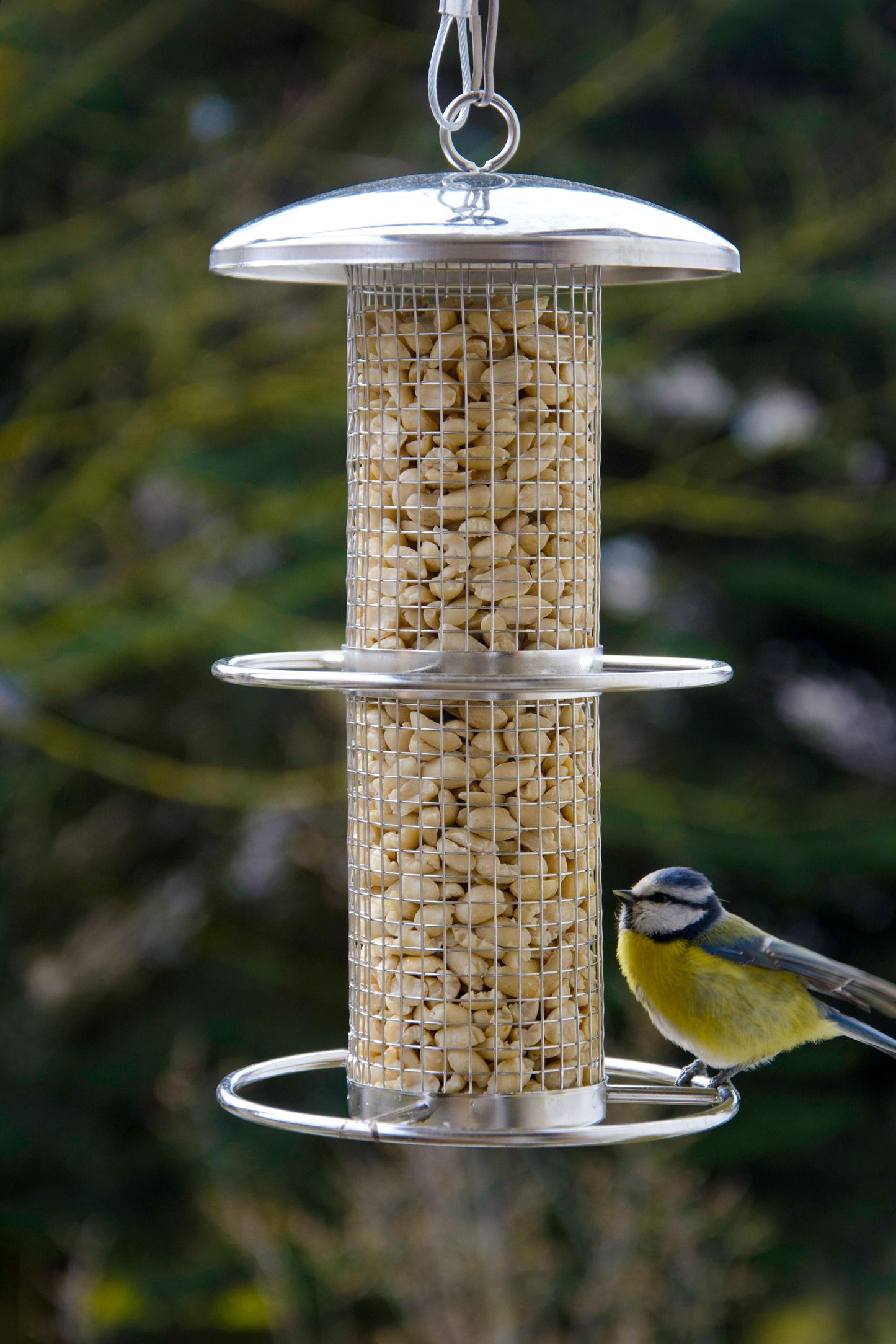 Art. 10041 - Futtersäule mit Gitterröhre zum Aufhängen - Luxus-Vogelhaus.de