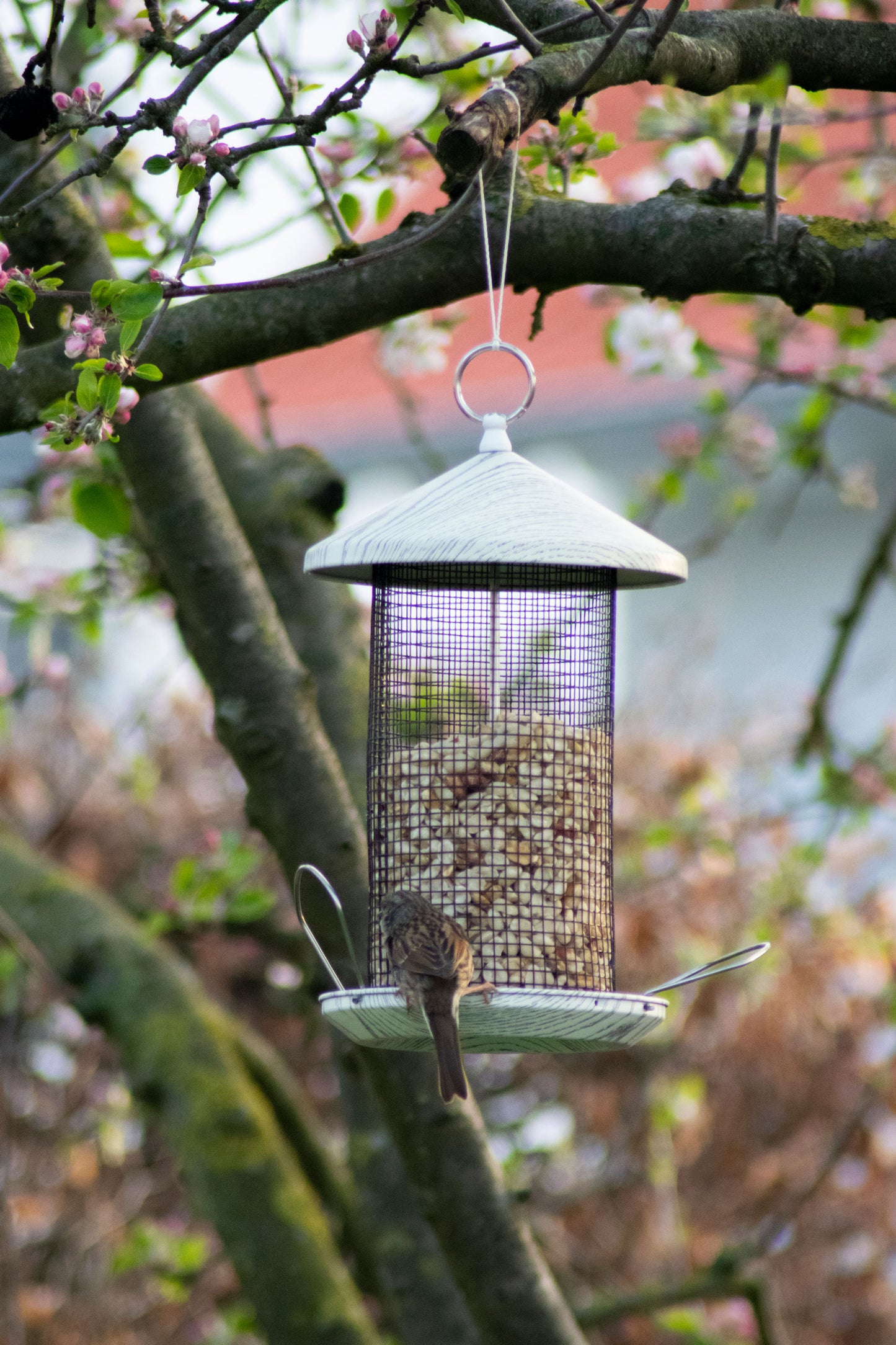 Futtersäule mit Metallöse zum Aufhängen im Garten oder auf dem Balkon