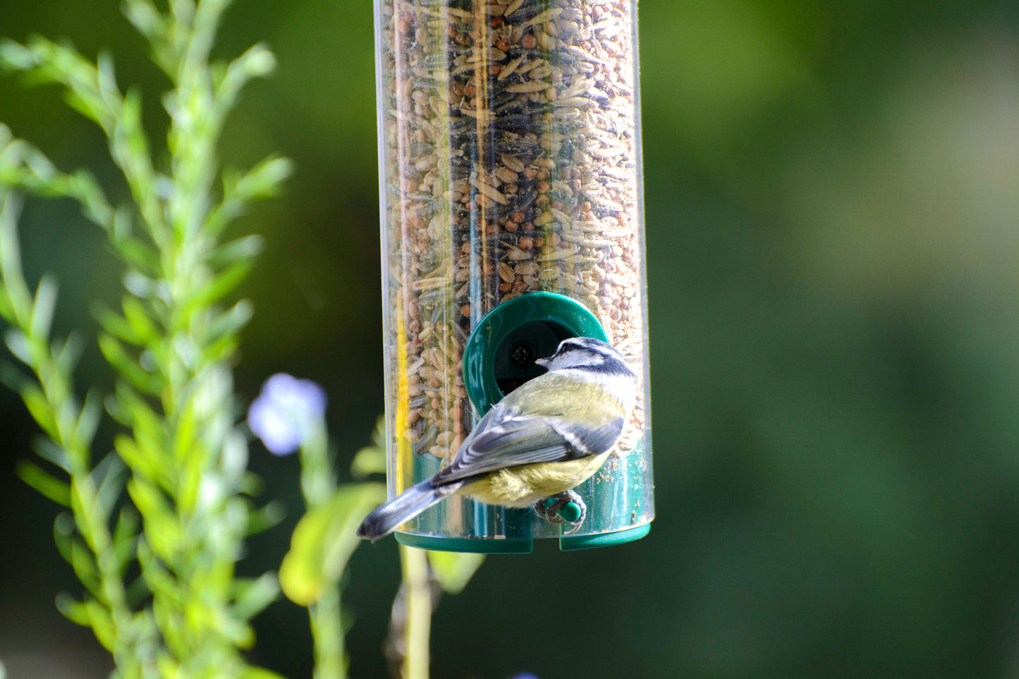 Art. 11502 - Transparente Wildvogel - Futterstation zum Aufhängen - Luxus-Vogelhaus.de