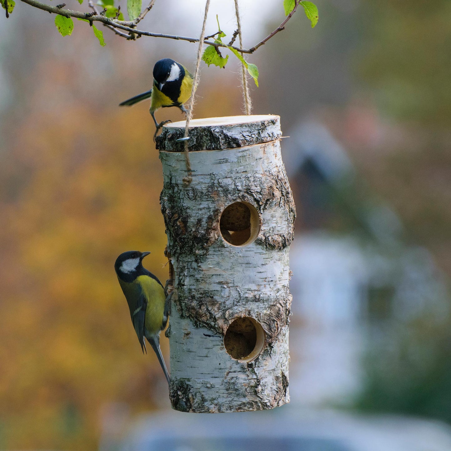 Art.11521FSCe - Meisenknödelhalter aus naturbelassener Birke