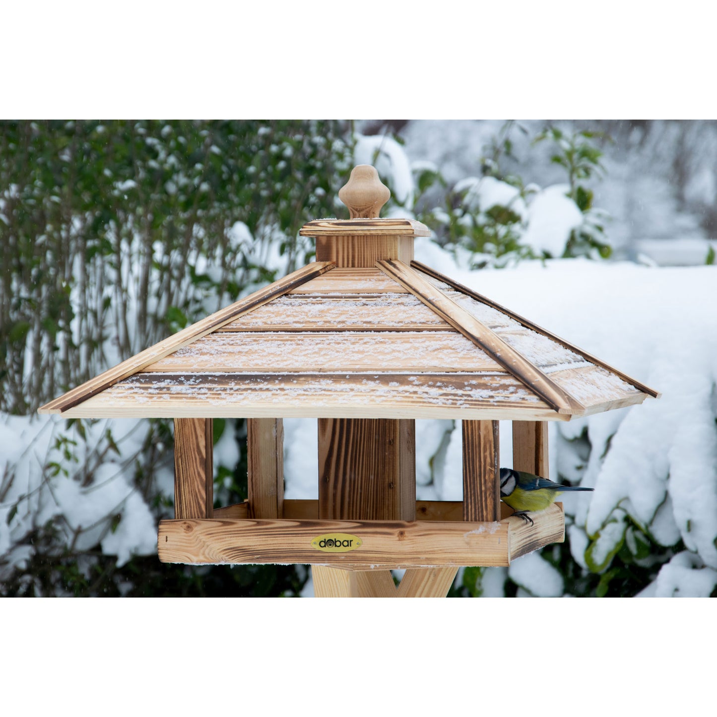Art.18008FSCe - Vogelhaus "Lumbre" zum Aufstellen - geflammt - Luxus-Vogelhaus.de