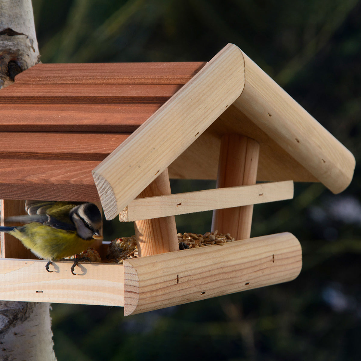 Langlebiges Vogelfutterhaus für Wildvögel