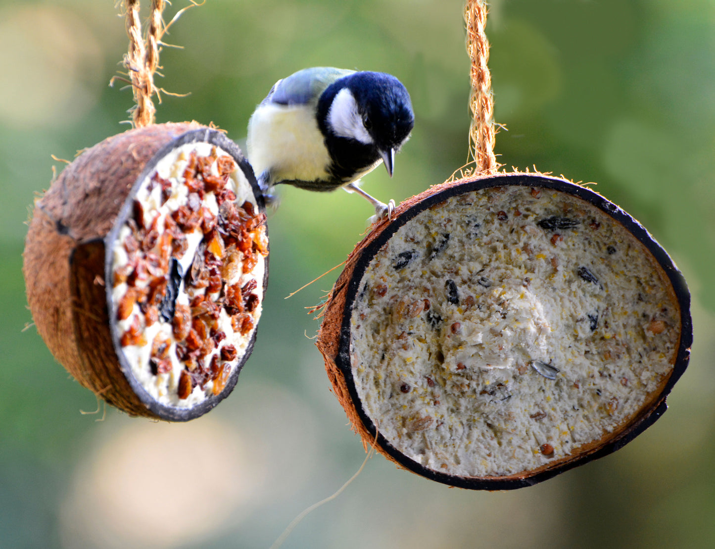 Art. 24090e - 10 gefüllte Kokosnusshälften - 5 Vogelfutter-Sorten