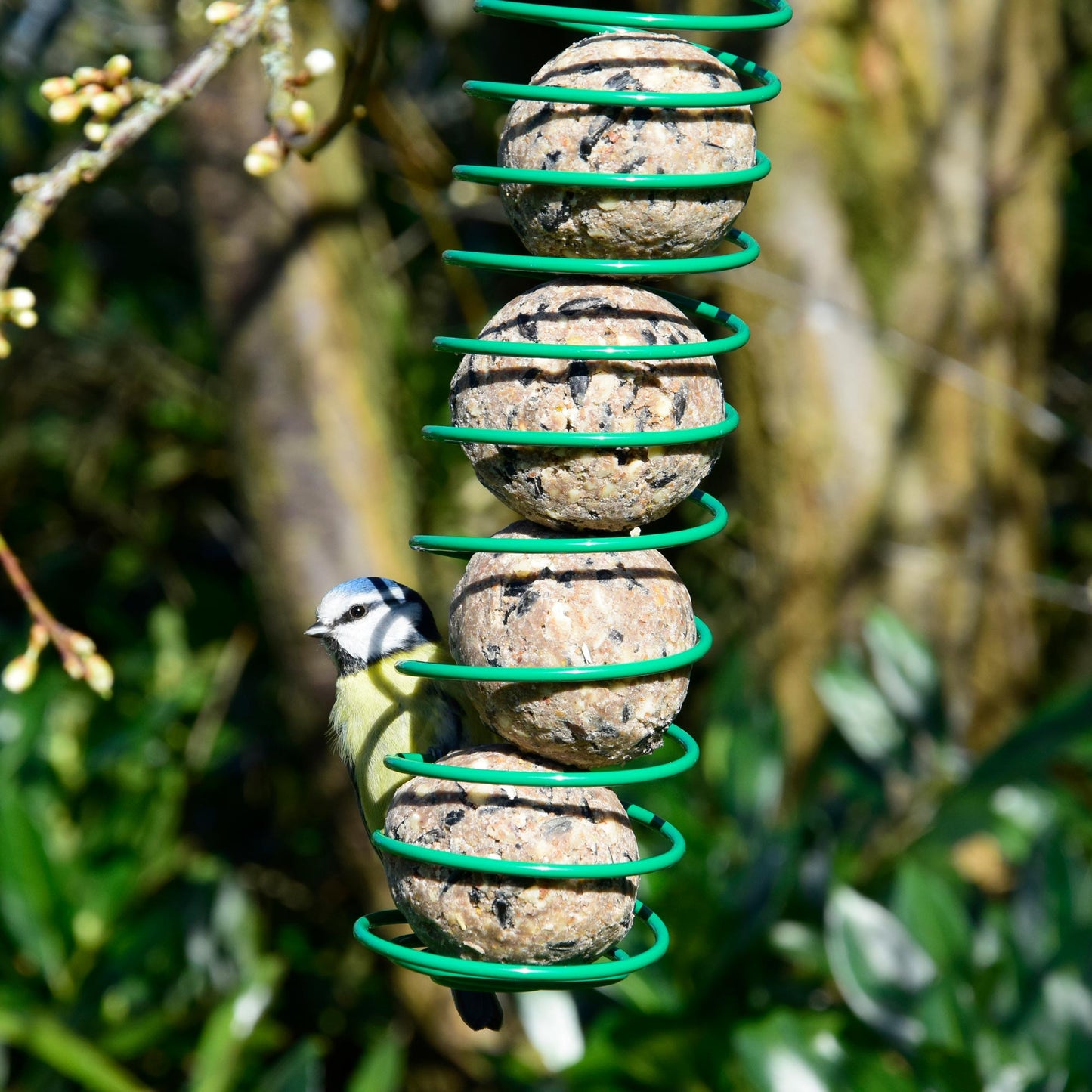 100 Gourmet-Meisenknödel ohne Netz – Mit Erdnüssen und Sonnenblumenkernen für ganzjährige Fütterung.