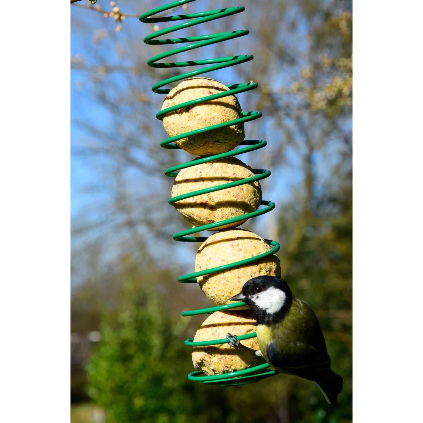 Art. 24118e - Frucht - Meisenknödel ohne Netz 100 Stück a 90 Gramm - Luxus-Vogelhaus.de