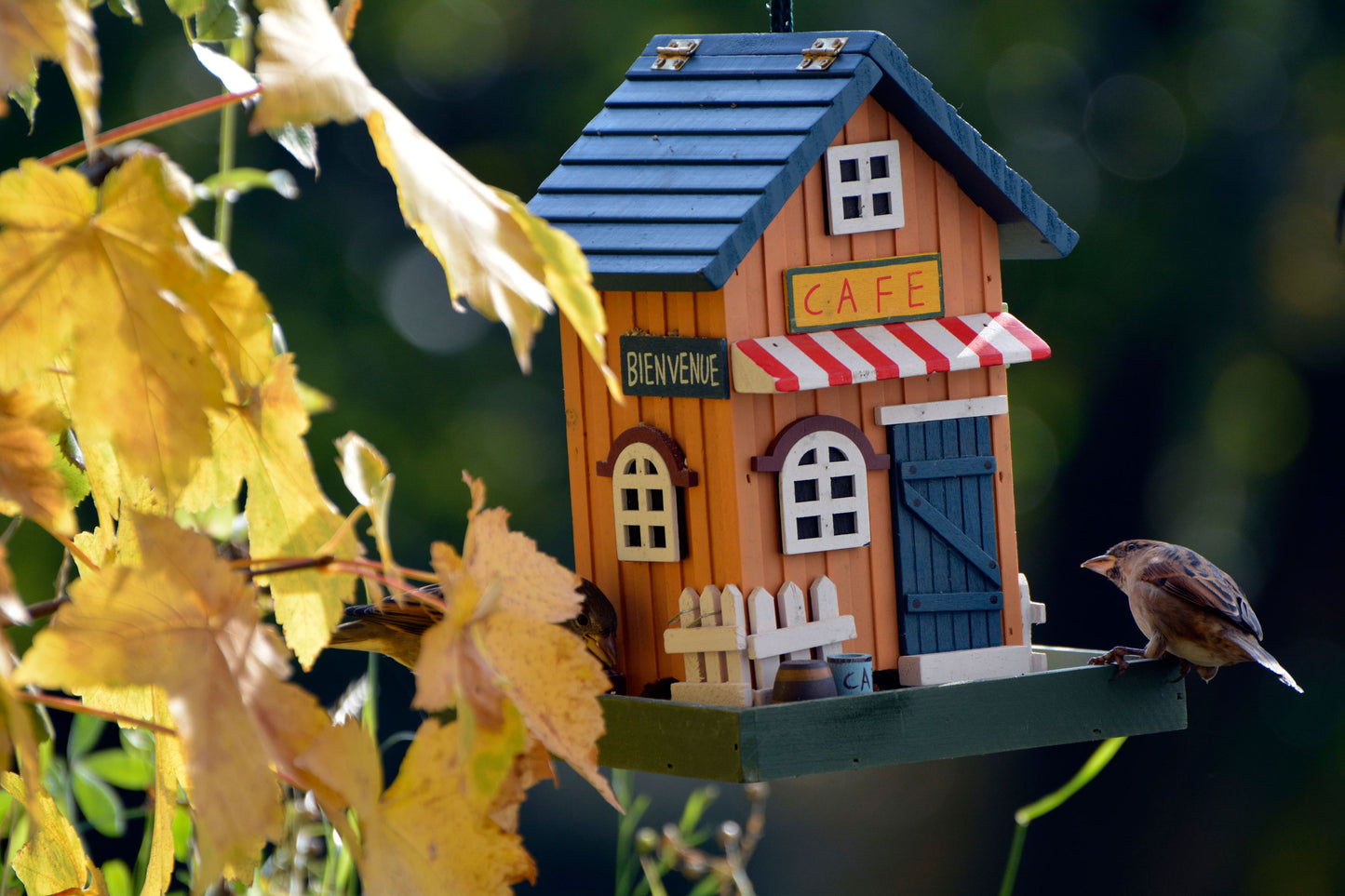 Art. 25109FSC - Buntes Vogelhaus Western zum Aufhängen "Cafe"