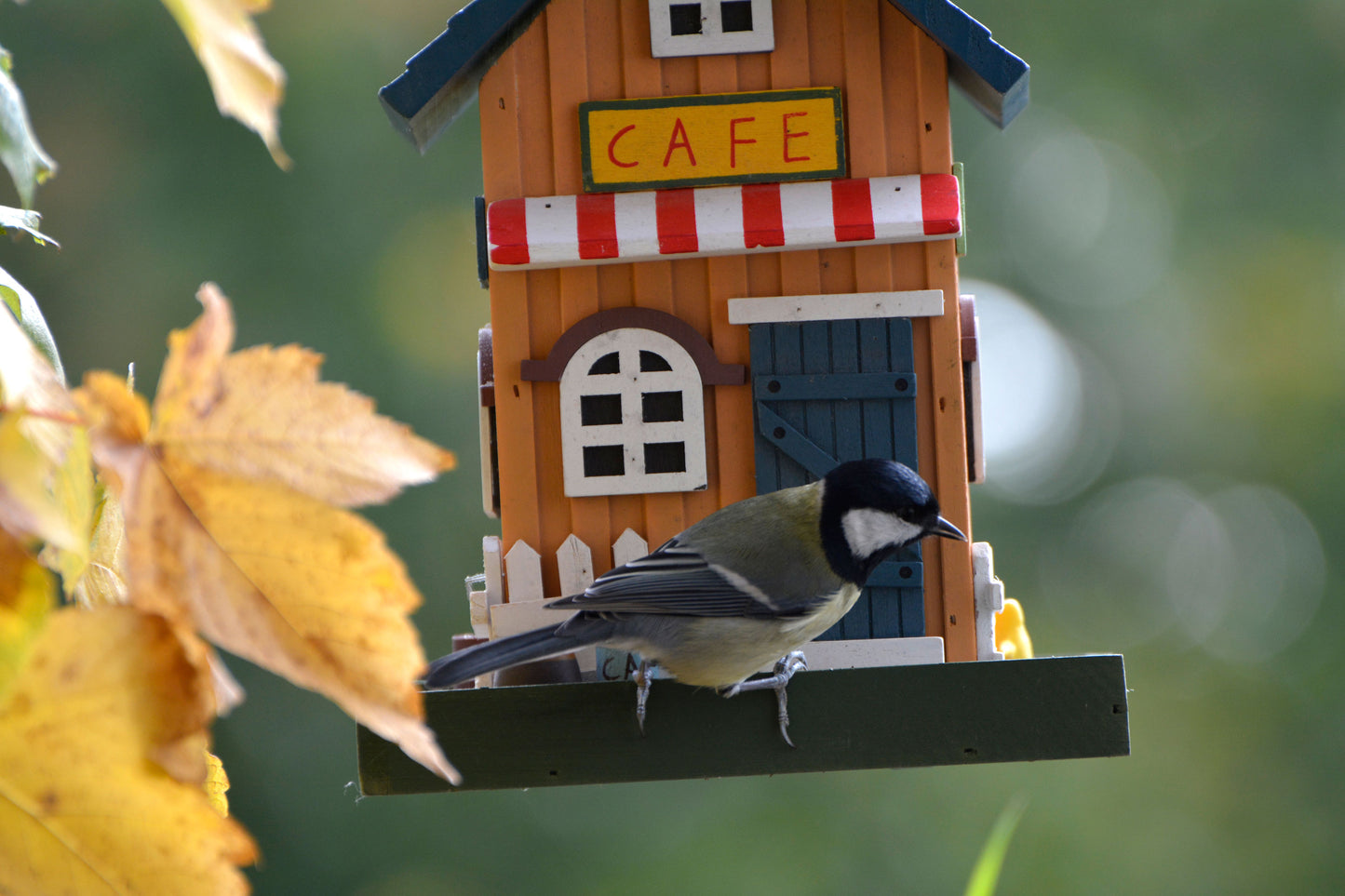 Art. 25109FSC - Buntes Vogelhaus Western zum Aufhängen "Cafe"