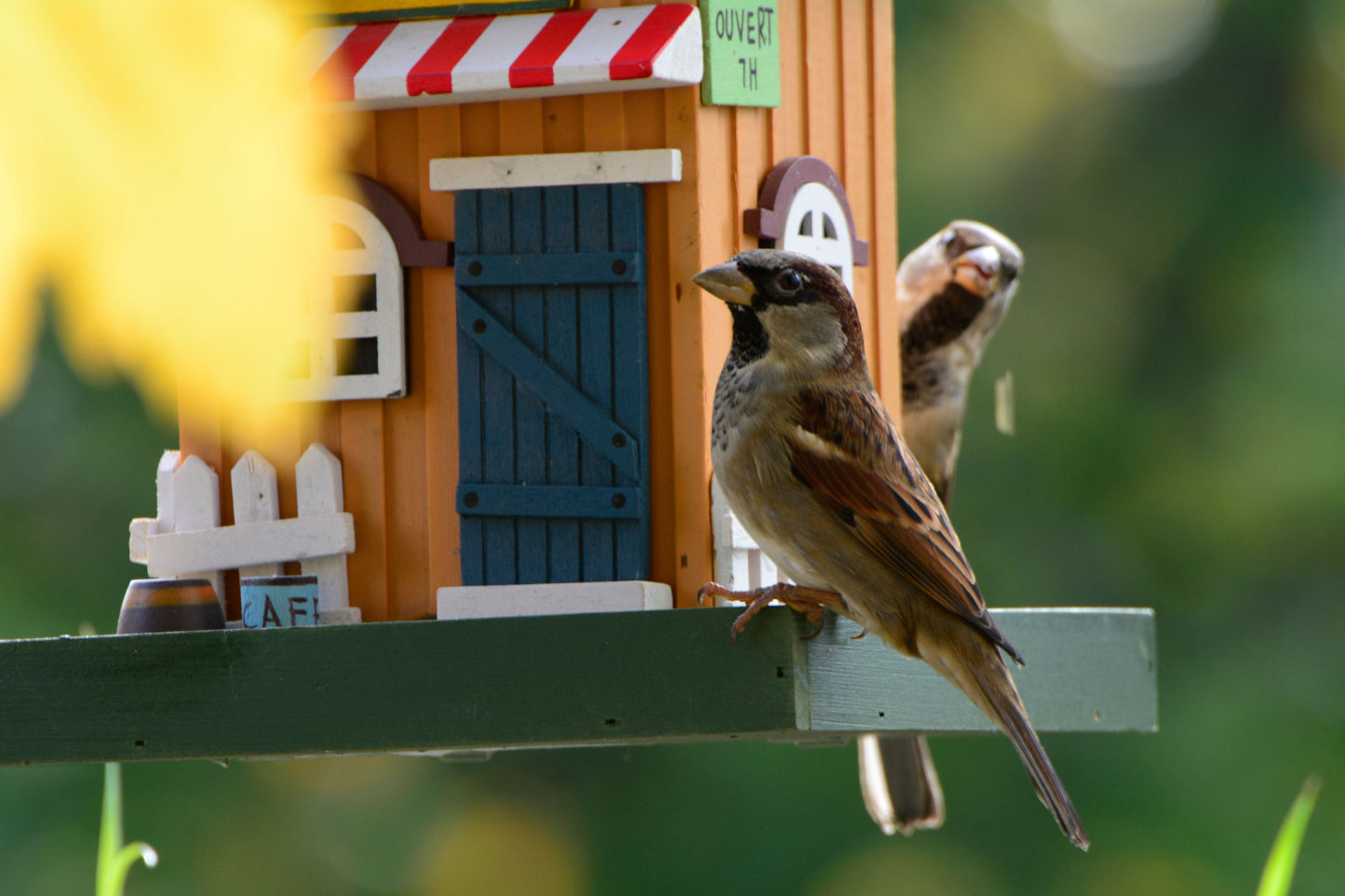 Art. 25109FSC - Buntes Vogelhaus Western zum Aufhängen "Cafe"