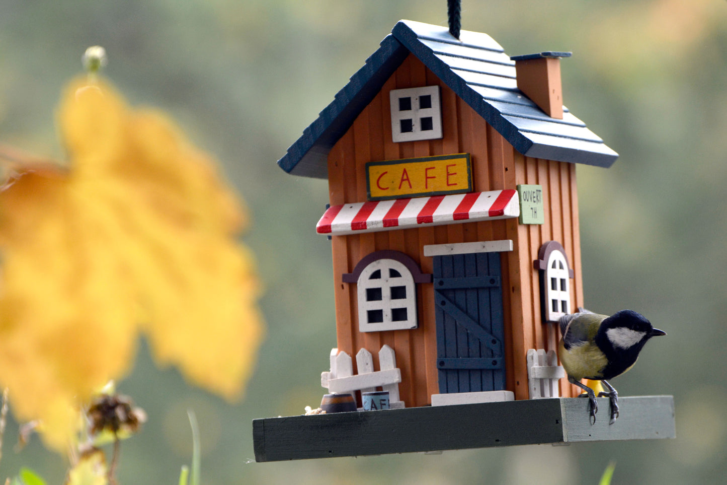 Art. 25109FSC - Buntes Vogelhaus Western zum Aufhängen "Cafe"