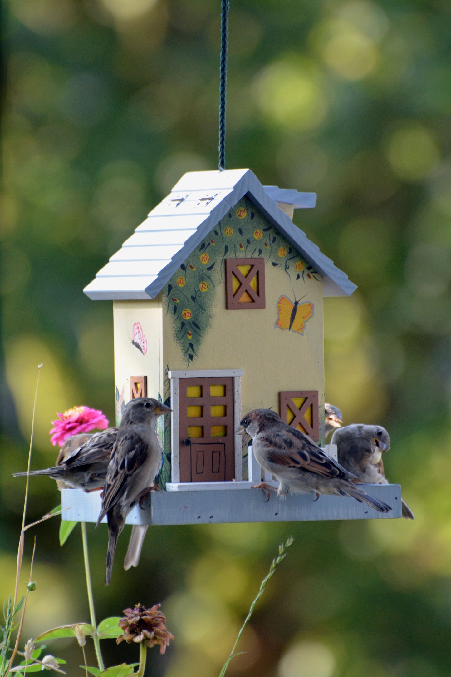 Art. 25119FSC - Buntes Vogelhaus Western zum Aufhängen "Frühling"