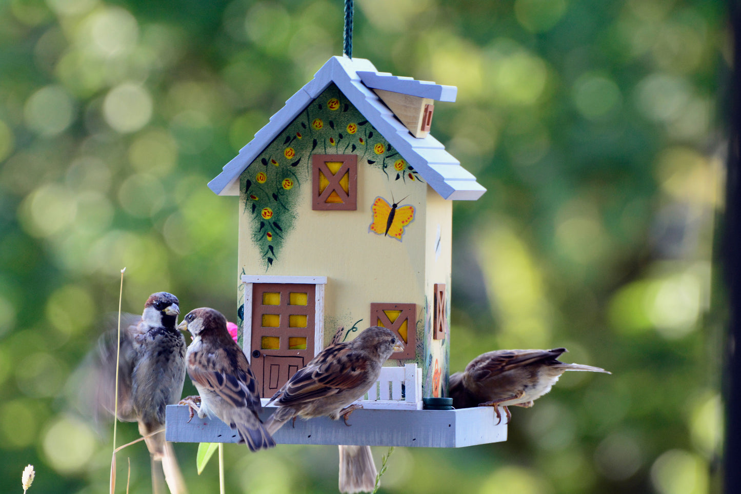 Art. 25119FSC - Buntes Vogelhaus Western zum Aufhängen "Frühling"