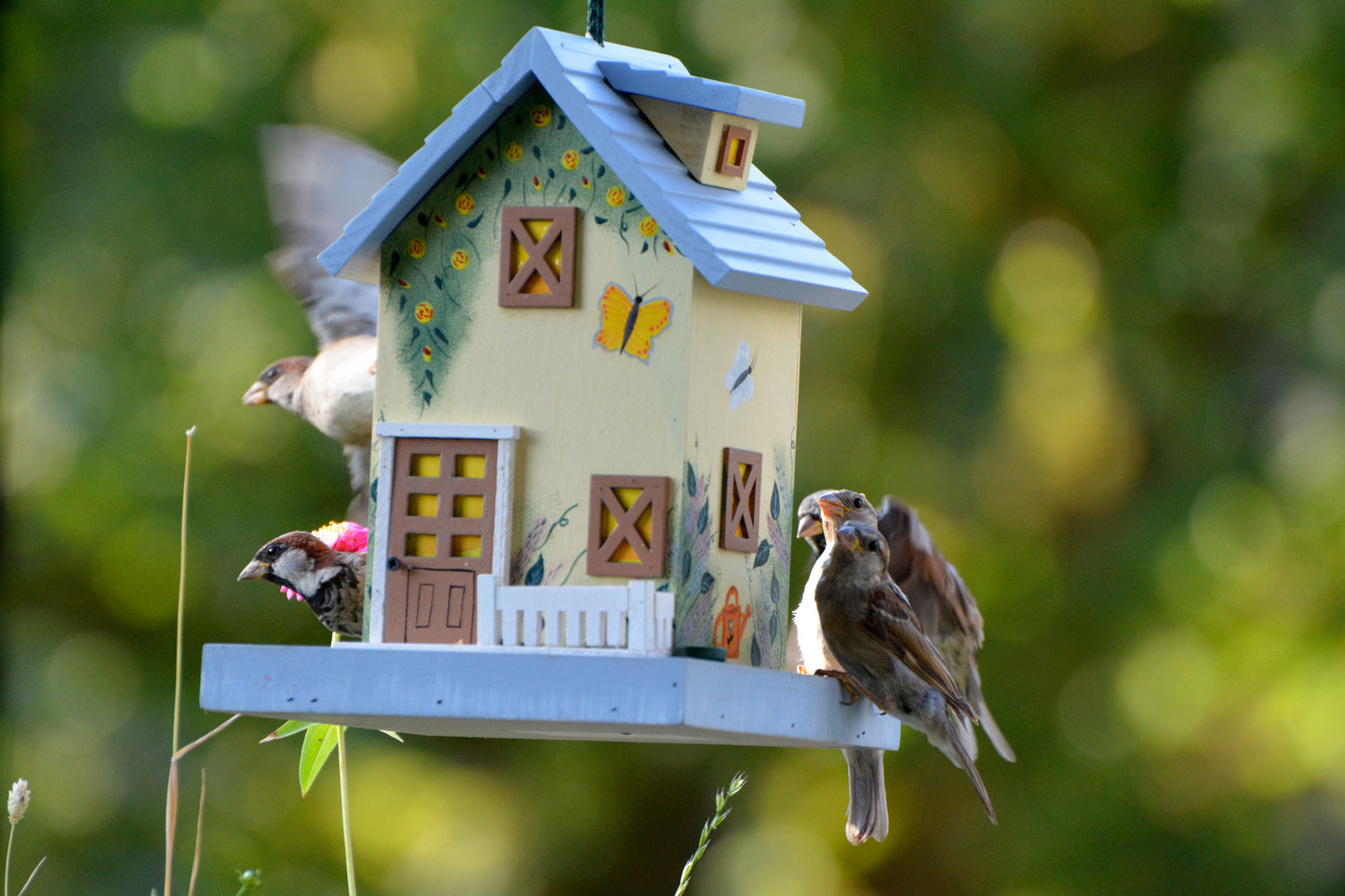 Art. 25119FSC - Buntes Vogelhaus Western zum Aufhängen "Frühling"