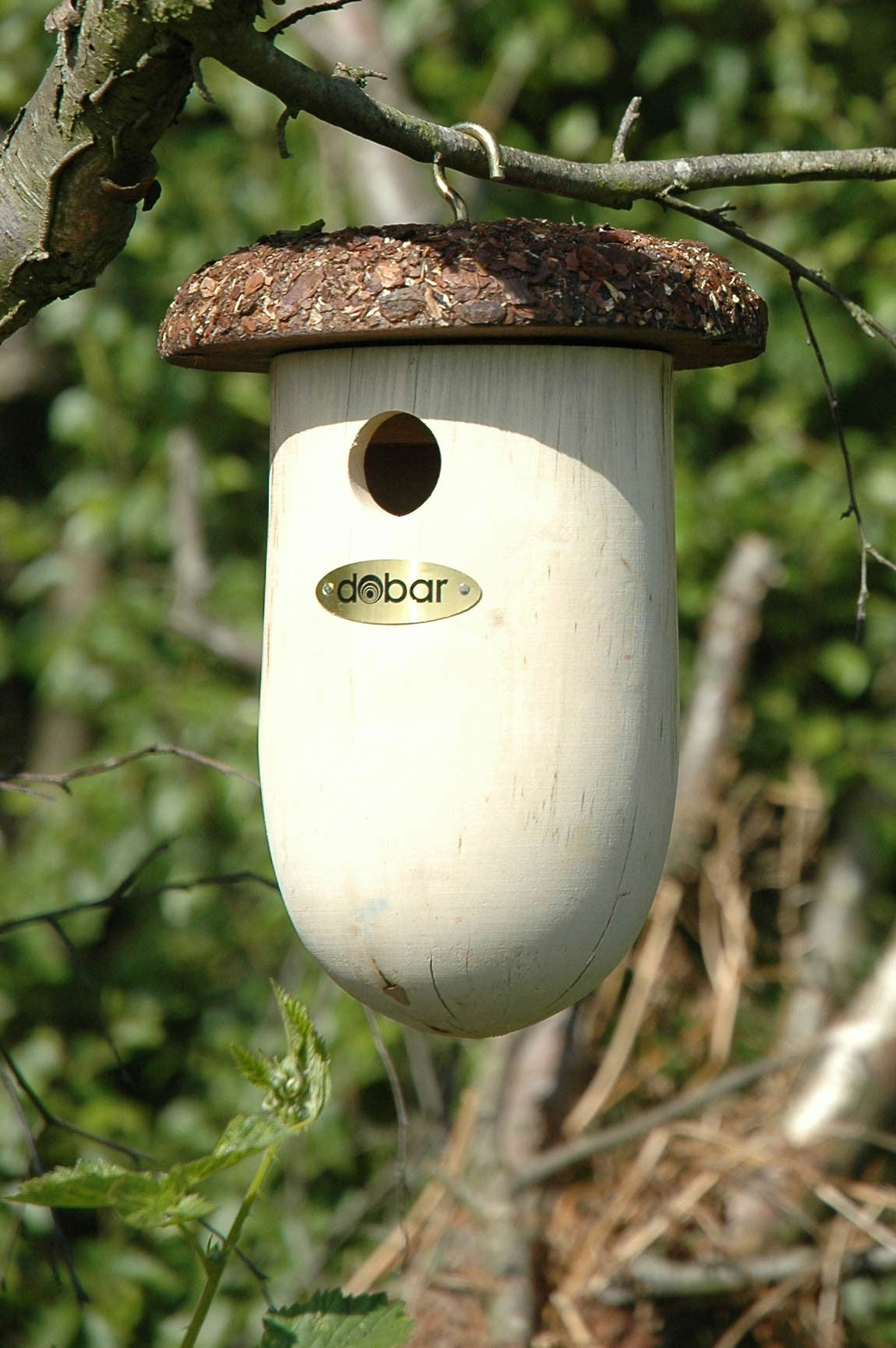 Robuster Vogelnistkasten mit abnehmbarem Dach für einfache Reinigung und praktischer Aufhängung.