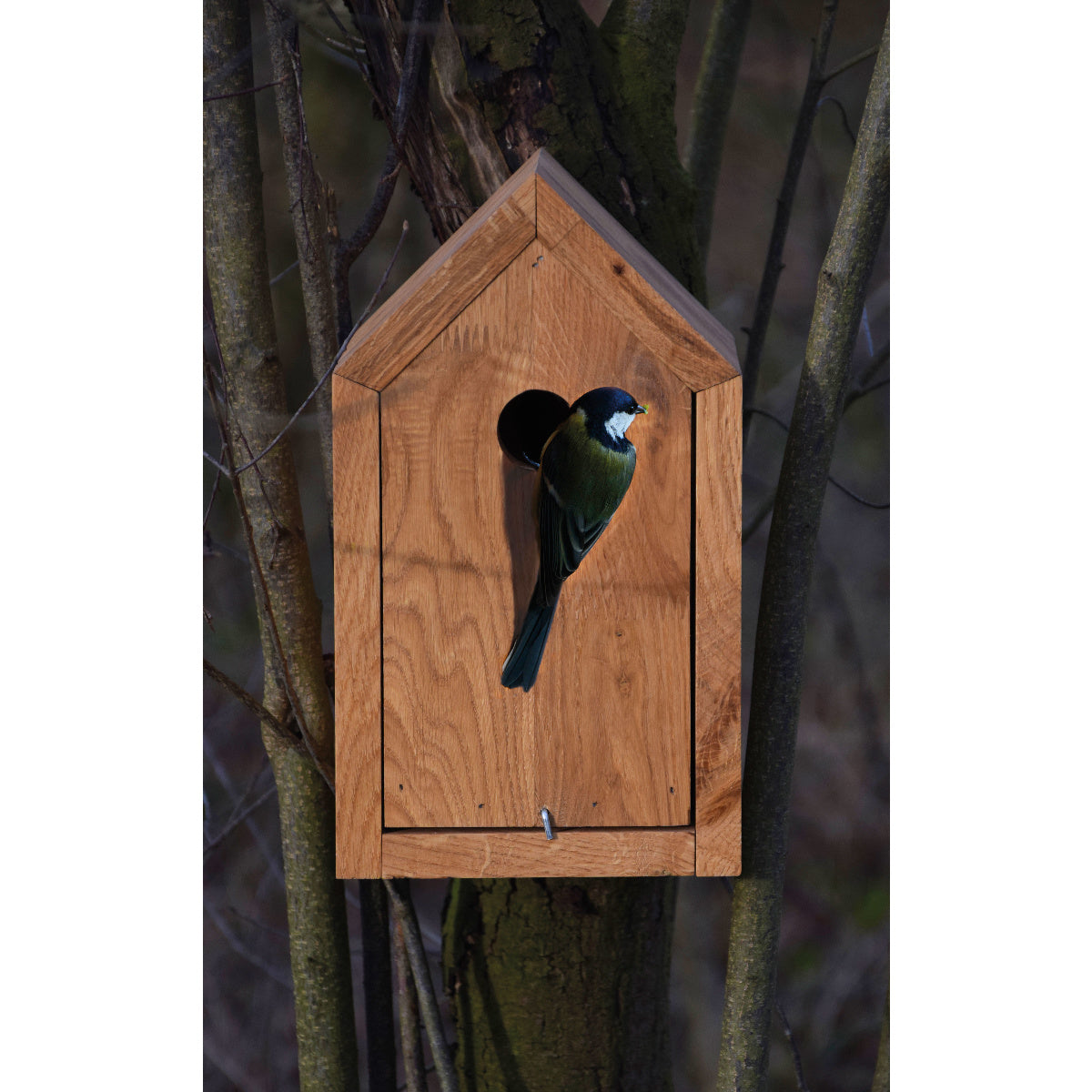 Art. 46760e - Design-Nistkasten Spitzdach | Eichenholz - Luxus-Vogelhaus.de