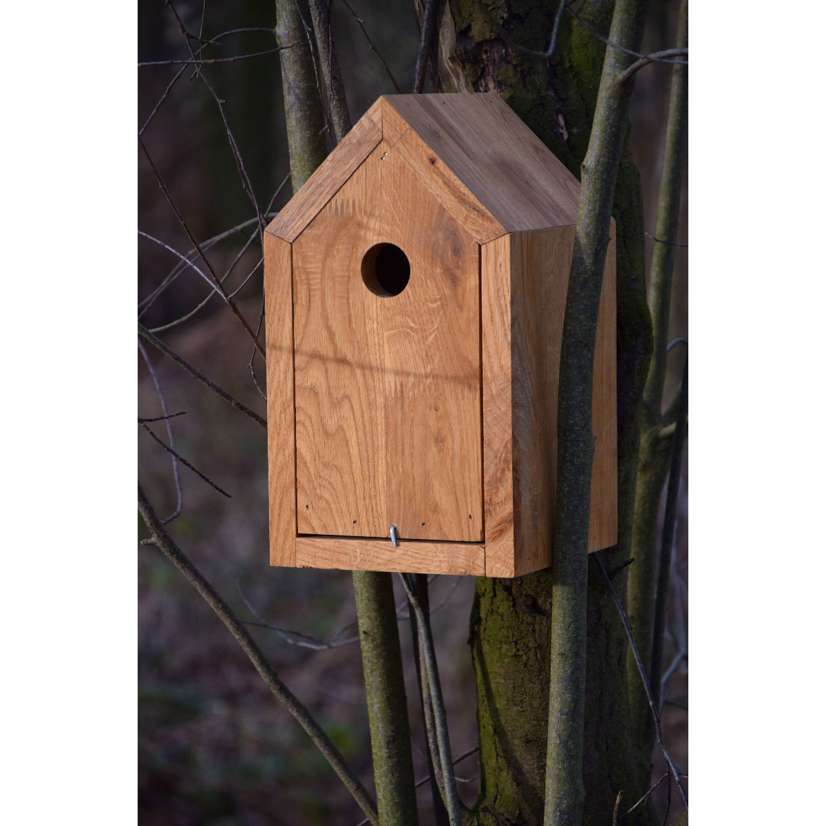 Art. 46760e - Design-Nistkasten Spitzdach | Eichenholz - Luxus-Vogelhaus.de