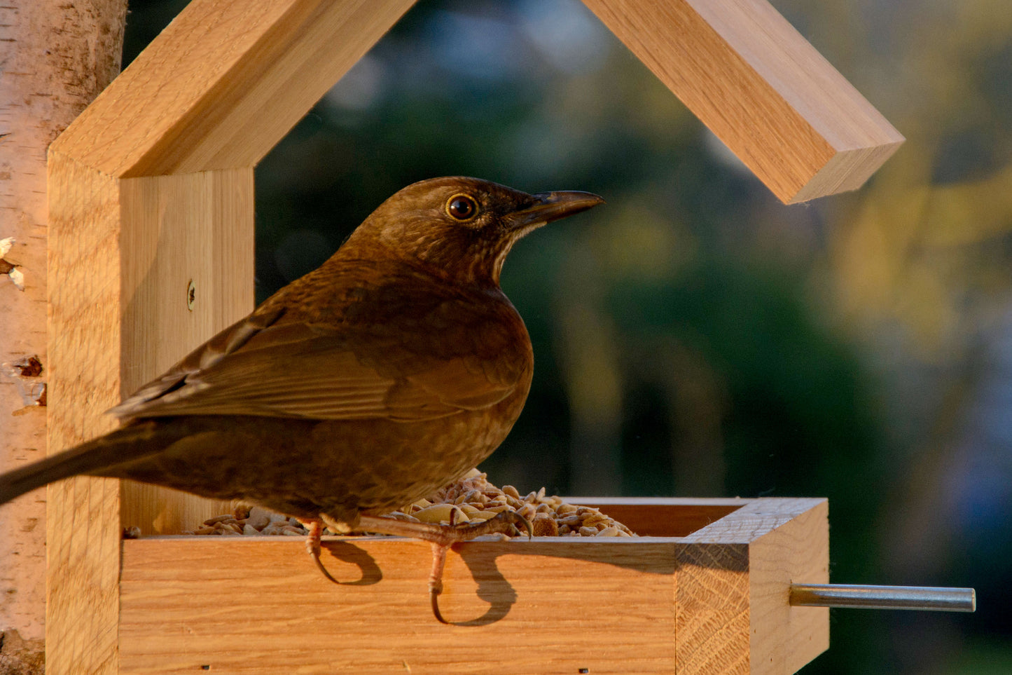 Art. 46850e - Design Vogelhaus für Wandbefestigung - Eiche