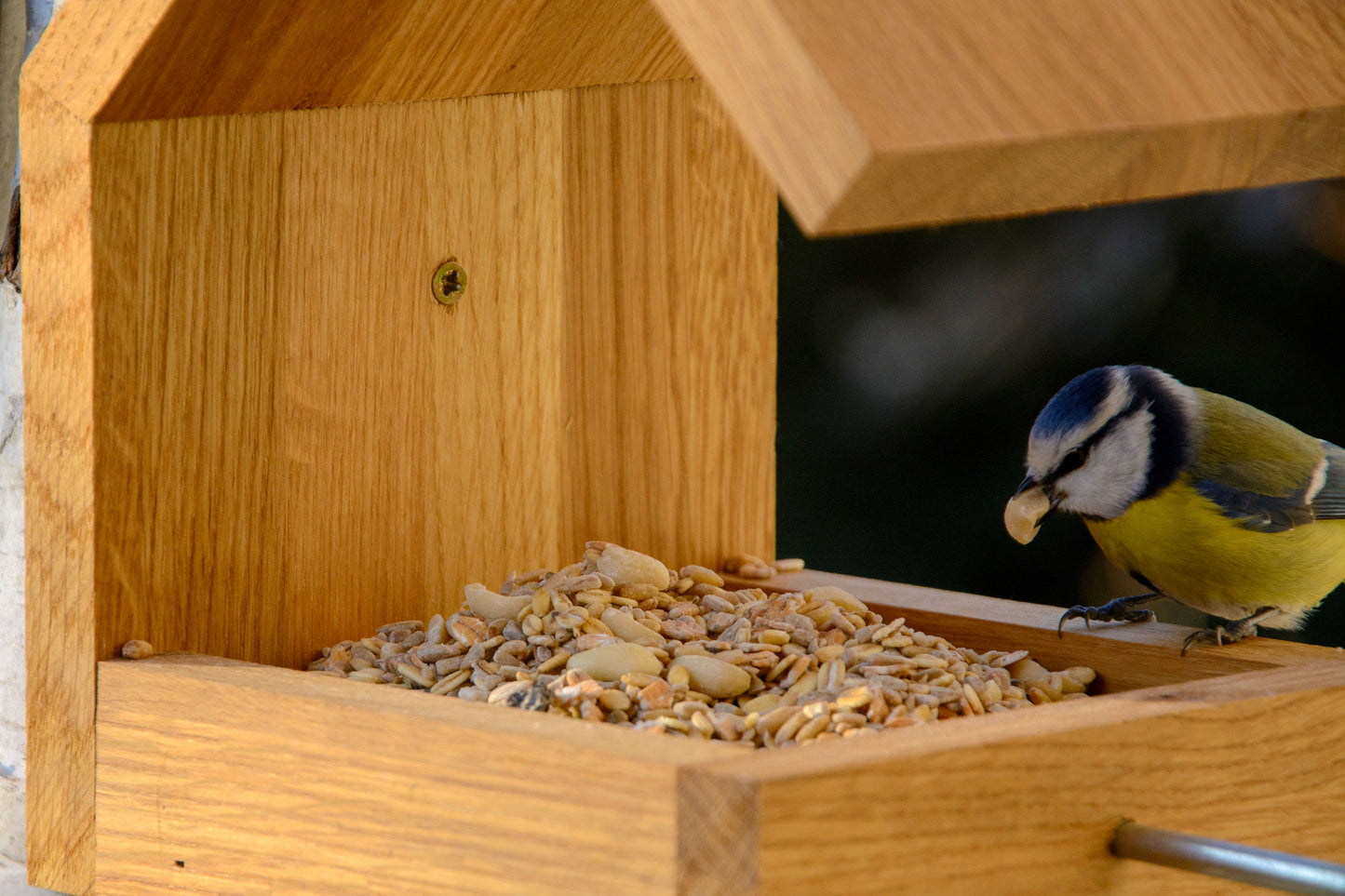 Art. 46850e - Design Vogelhaus für Wandbefestigung - Eiche