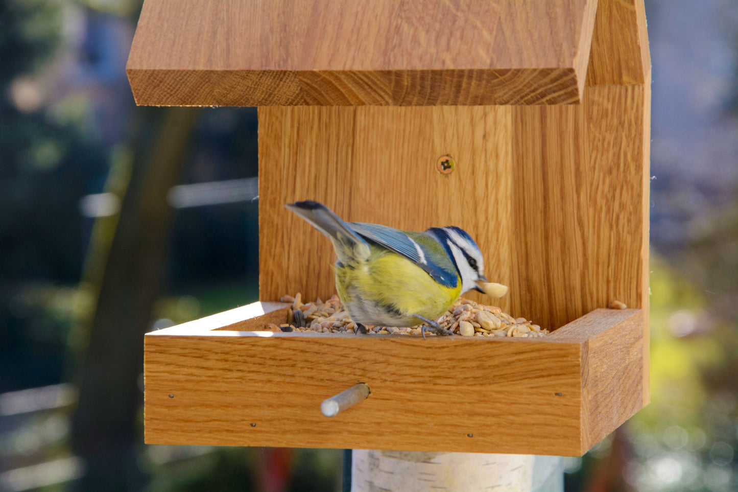 Art. 46850e - Design Vogelhaus für Wandbefestigung - Eiche