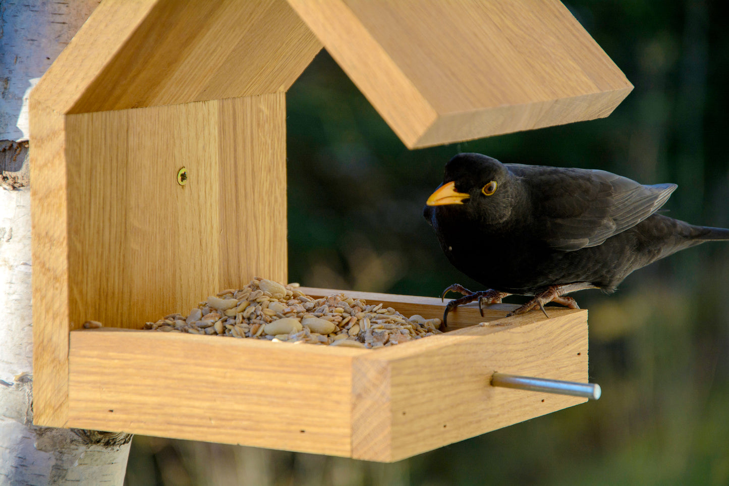 Art. 46850e - Design Vogelhaus für Wandbefestigung - Eiche