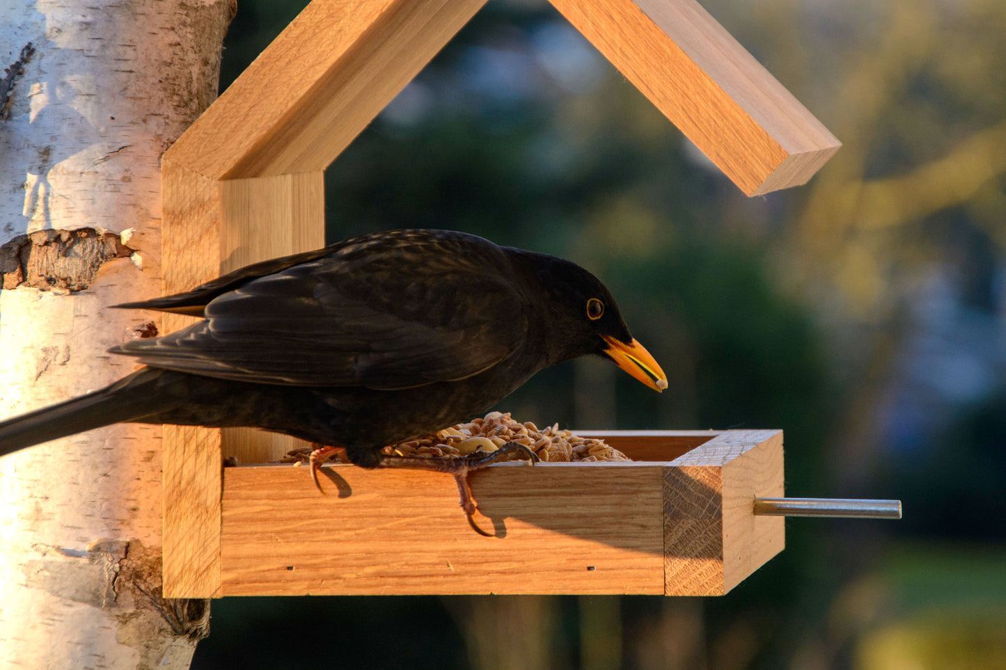 Art. 46850e - Design Vogelhaus für Wandbefestigung - Eiche