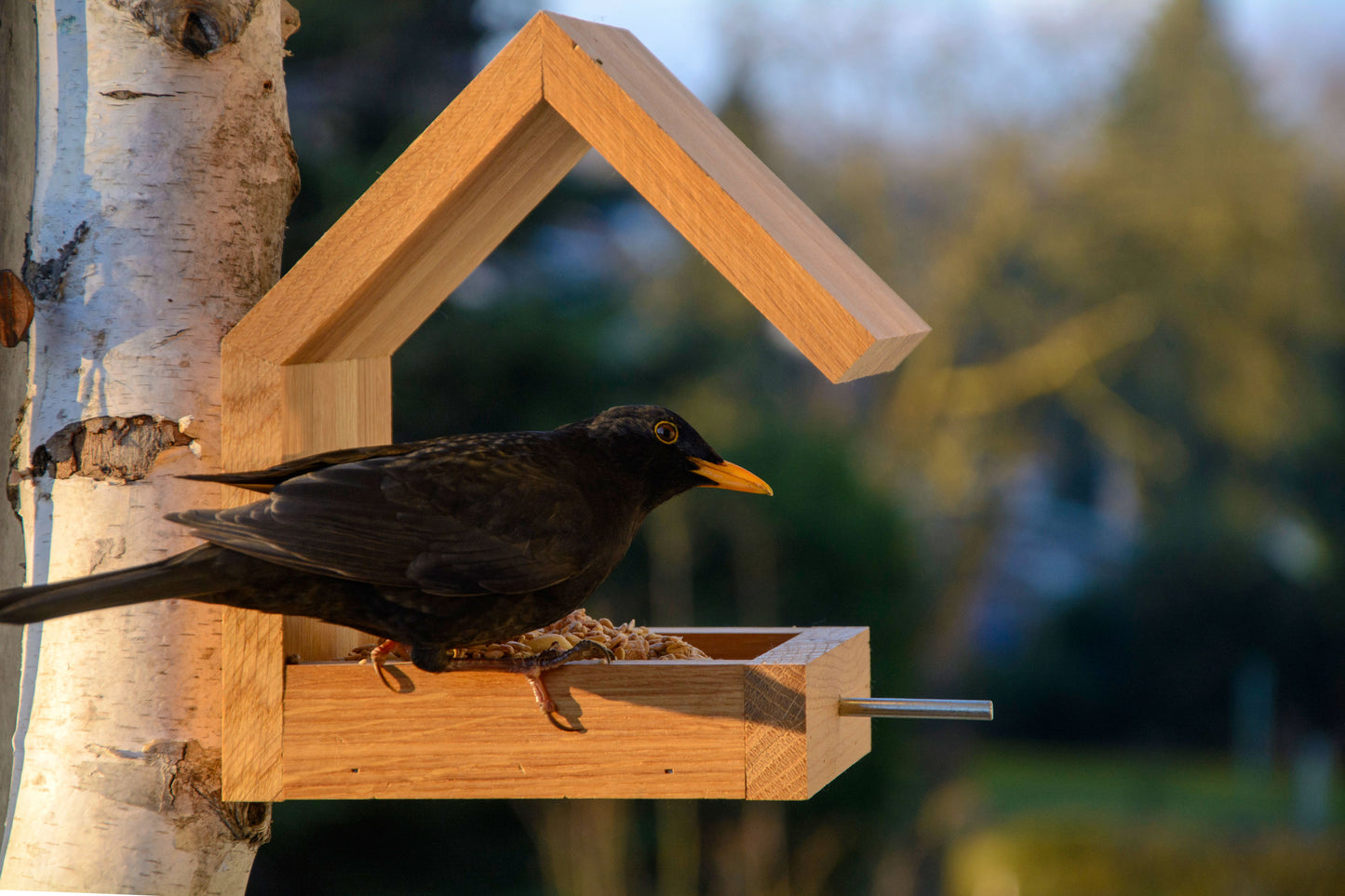 Art. 46850e - Design Vogelhaus für Wandbefestigung - Eiche