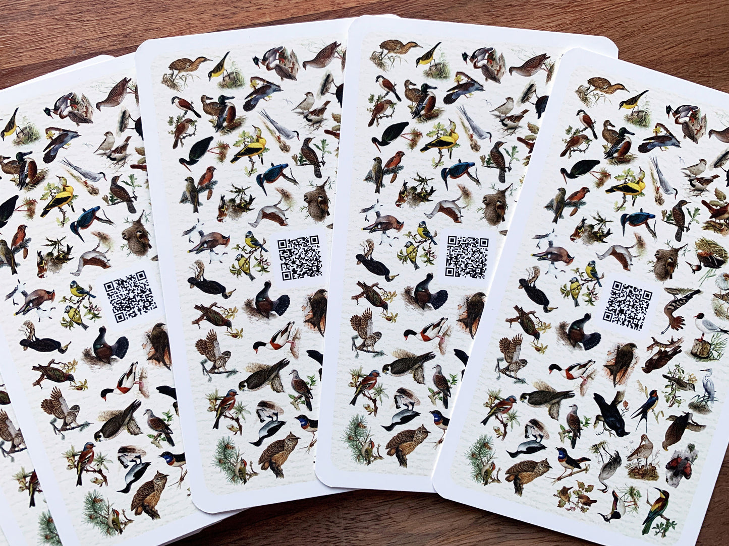 Art.98600e - Vogel-Quartettspiel "Fliegende Edelsteine" mit QR-Codes zu Vogelstimmen-Sounds