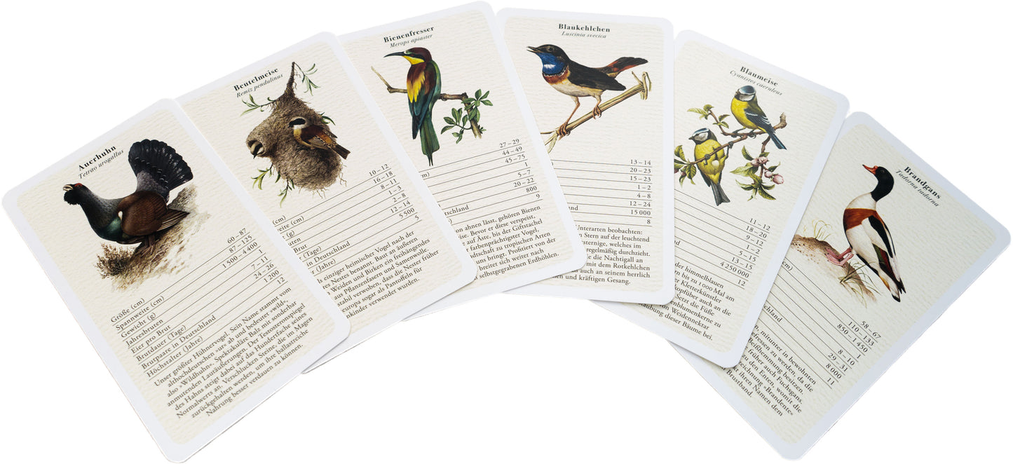 Kartenspiel mit Vogelstimmen – Spielkarten mit QR-Codes und Hintergrundwissen zu heimischen Wildvögeln.