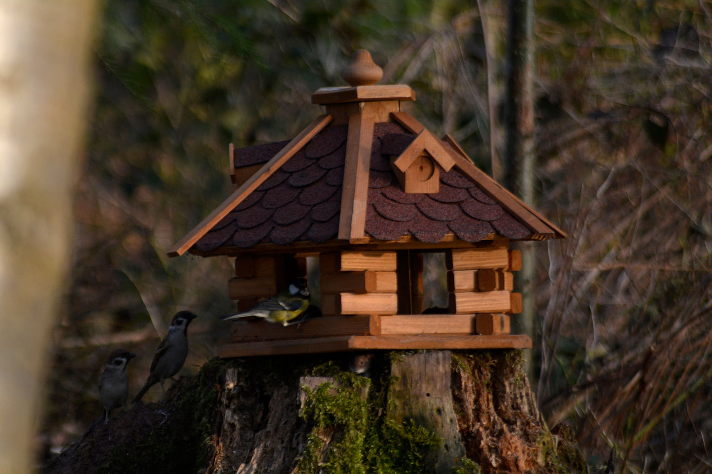 Rustikales Vogelhaus mit sechseckigem Design und wasserdichtem, rotem Dach, perfekt für den Einsatz in Deinem Garten.