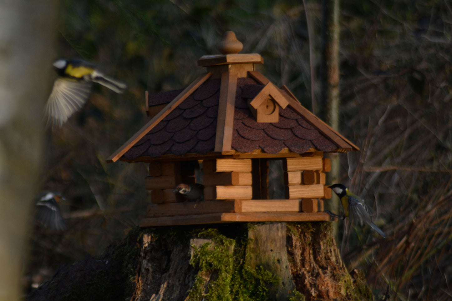 Wetterfestes, sechseckiges Vogelhaus aus imprägniertem Kiefernholz mit abnehmbarem Futtersilo und schützendem Bitumenschindeldach.
