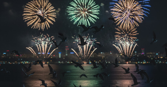 Aufgescheuchte Vögel in der Nacht, Feuerwerk am Himmel, symbolische Darstellung von Stress und Fluchtverhalten.