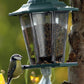 Dekorative Wildvogel-Futterstation im Laternenstil, ideal für Nüsse und Kerne
