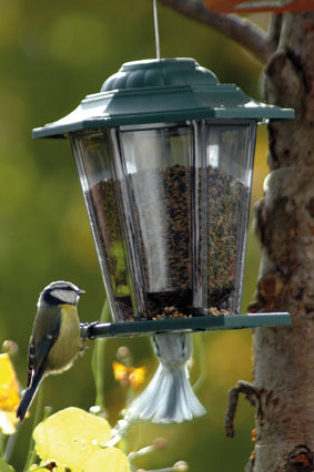Dekorative Wildvogel-Futterstation im Laternenstil, ideal für Nüsse und Kerne
