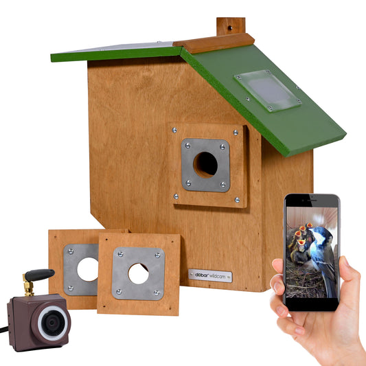 Vogelhaus mit integrierter HD-Kamera und App-Steuerung
