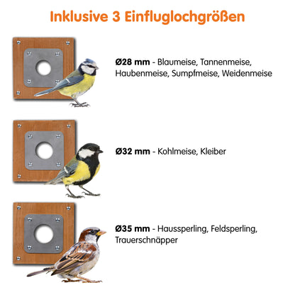 Vogelhaus für Vogelbeobachtung mit HD-Kamera und Bewegungsmelder
