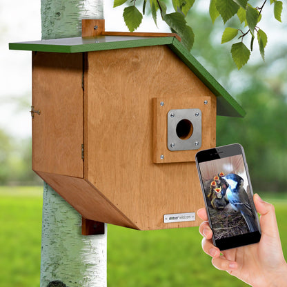 Innovativer Nistkasten mit HD WiFi-Kamera und Live-Überwachung
