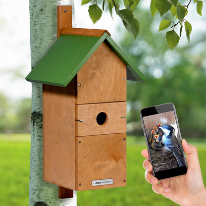 Großer LUXUS-VOGELHAUS® Nistkasten mit integrierter HD WiFi-Kamera, grün-braun.
