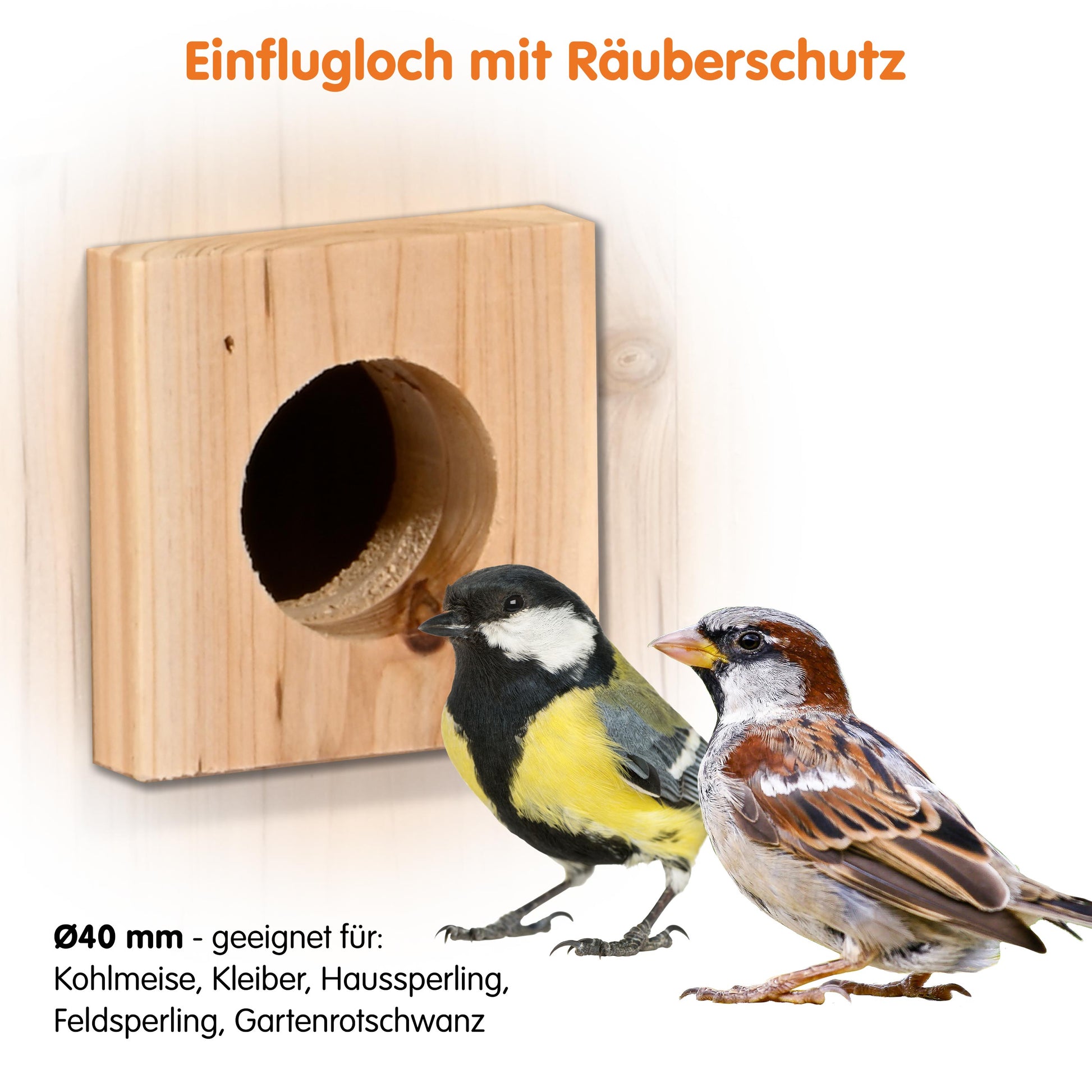 Vogel-Nistkasten mit integrierter WIFI-Kamera, nachhaltige Solarenergie, benutzerfreundliche App, wetterfestes Flachdach
