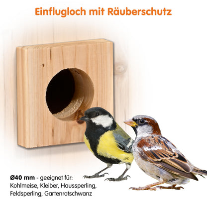Vogel-Nistkasten mit integrierter WIFI-Kamera, nachhaltige Solarenergie, benutzerfreundliche App, wetterfestes Flachdach
